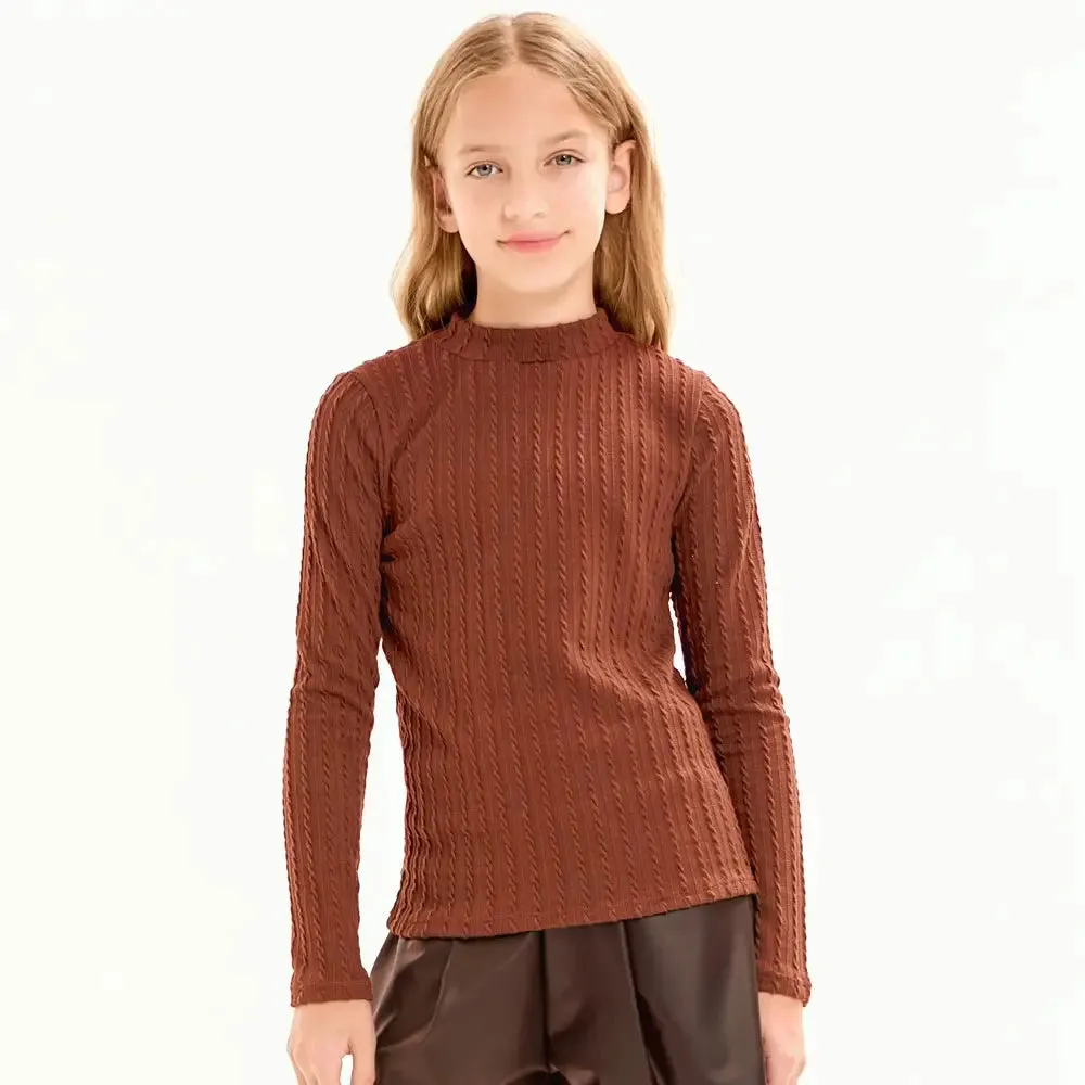 Embossed Knit Mock Neck Top in Rust